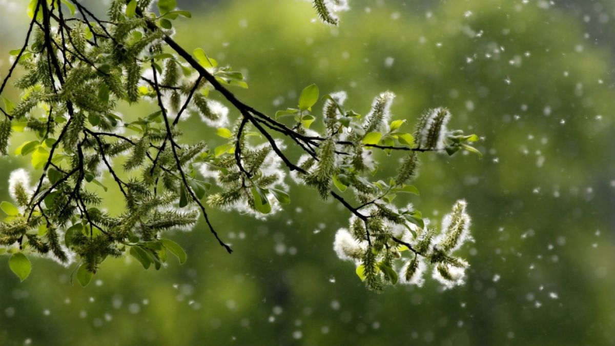 Biowetter Neuss: Wettervorhersage & Gesundheit