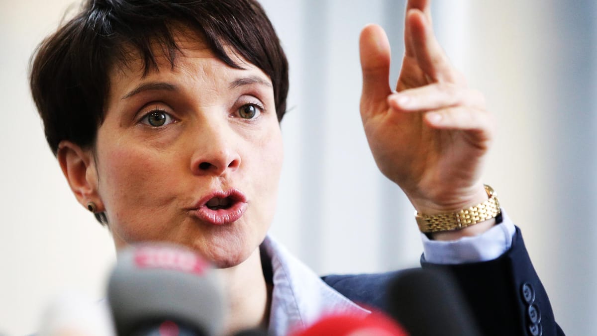 Neue Partei: Petry Wendet Sich Vom Staat Ab