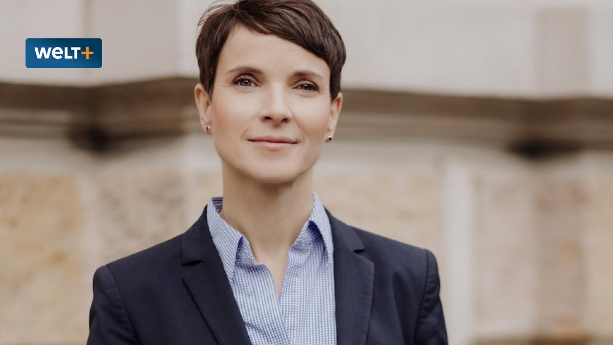 Parteisystemlücke:  CDU, AfD –  Mythos Oder Realität?