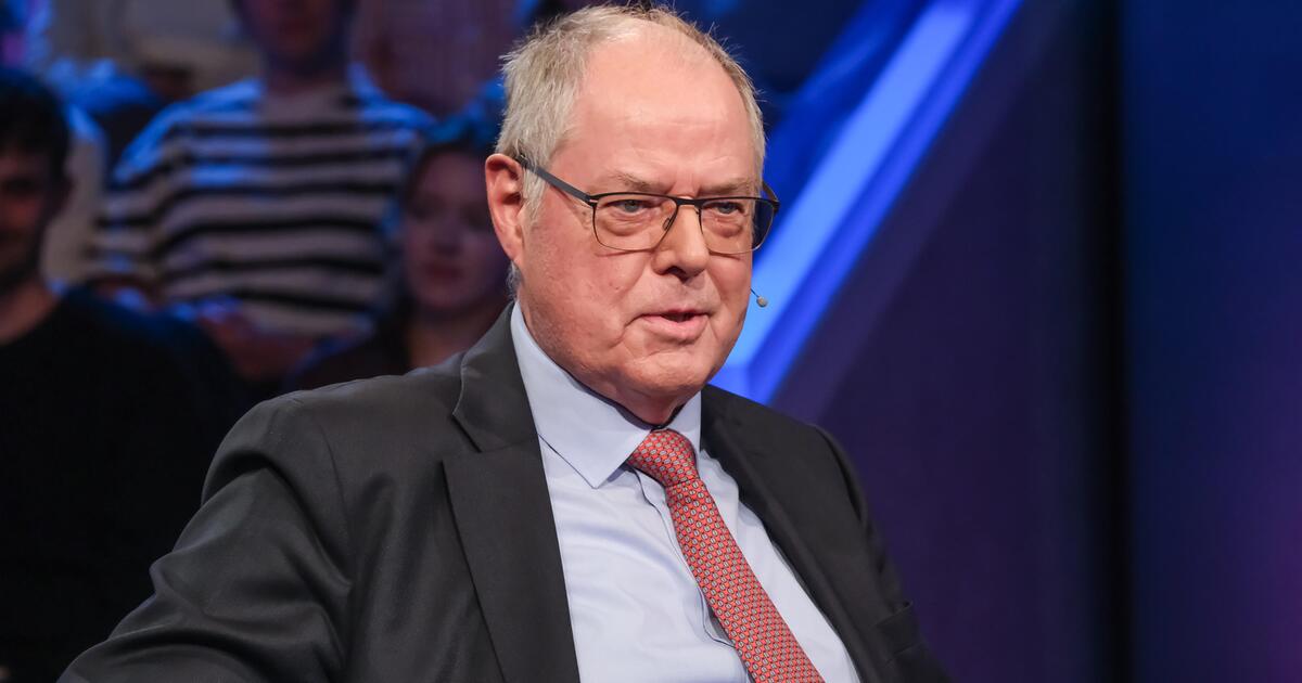Steinbrück Kritisiert Merz: 