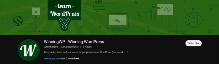 Best YouTube Channels to Learn WordPress for Free