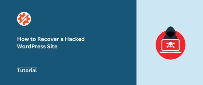 Wordpress recover hacked clean site website back up wpexplorer without can updated march last