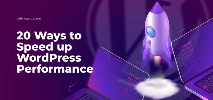 Guide maximizing perfmatters wps