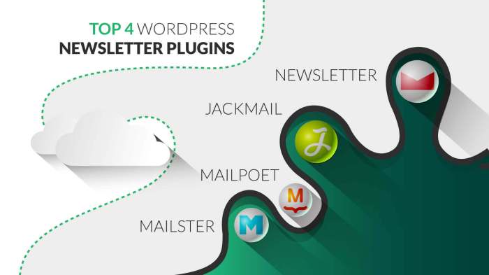 Top Newsletter Plugins for WordPress Email Marketing