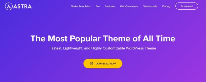 How to Improve WordPress Speed and Performance