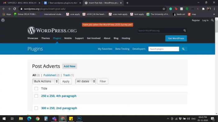 Ad plugins wordpress management Ad plugins wordpress management