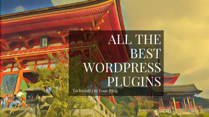 Top WordPress Caching Plugins to Improve Site Speed