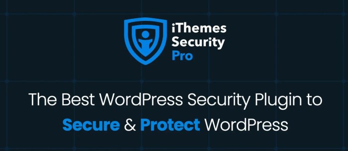 Best WordPress Security Plugins for 2025