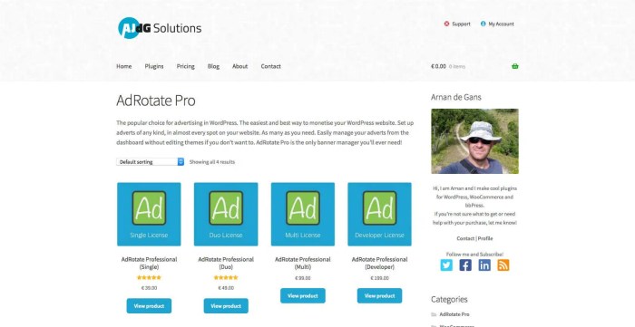 Top WordPress Ad Management Plugins for Bloggers
