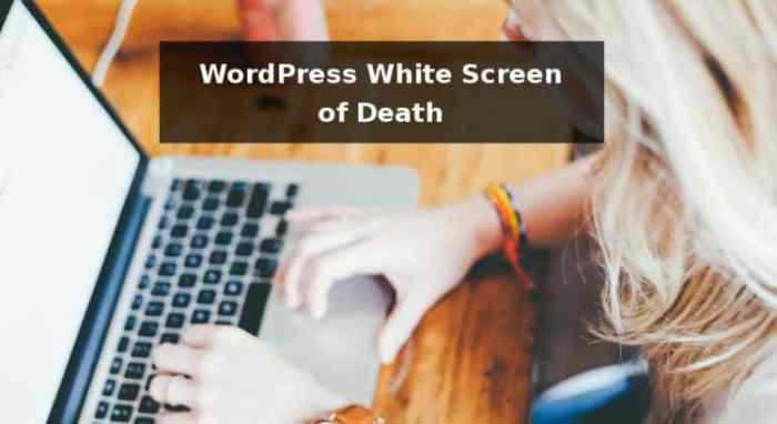How to Fix the White Screen of Death in WordPress