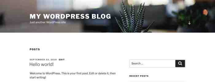 How to Create a Custom Homepage in WordPress